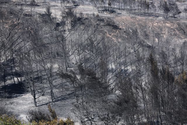 Πυρκαγιά σε Κορινθία και Αλεποχώρι: Μεγάλη καταστροφή ...μικρή πολιτική αναταραχή