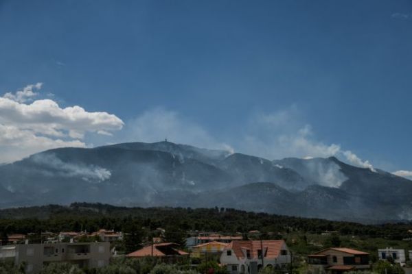 Πέτσας: Οικονομική ενίσχυση έως 6.000 ευρώ για τους πληγέντες της πυρκαγιάς στην Κορινθία