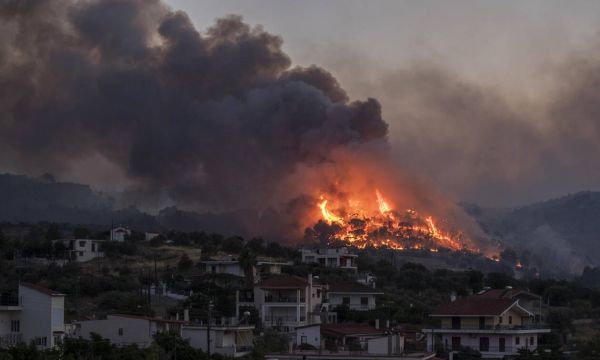 Γεράνεια Όρη: Χιλιάδες ζώα κυκλοφορούν πληγωμένα