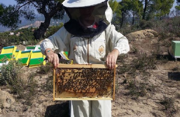 Σεμινάριο για μελισσοκόμους της Πέλλας