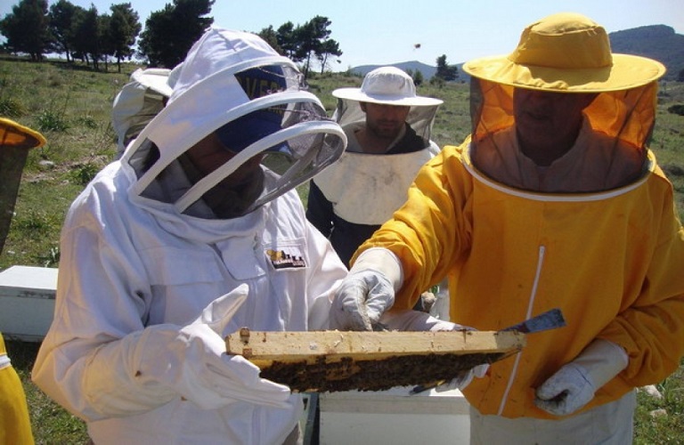 Δωρεάν πρόγραμμα ταχύρρυθμης κατάρτισης μελισσοκόμων