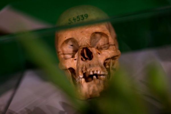 Γερμανία: Αναγνωρίζει για πρώτη φορά ότι διαπράχθηκε «γενοκτονία» στη Ναμίμπια