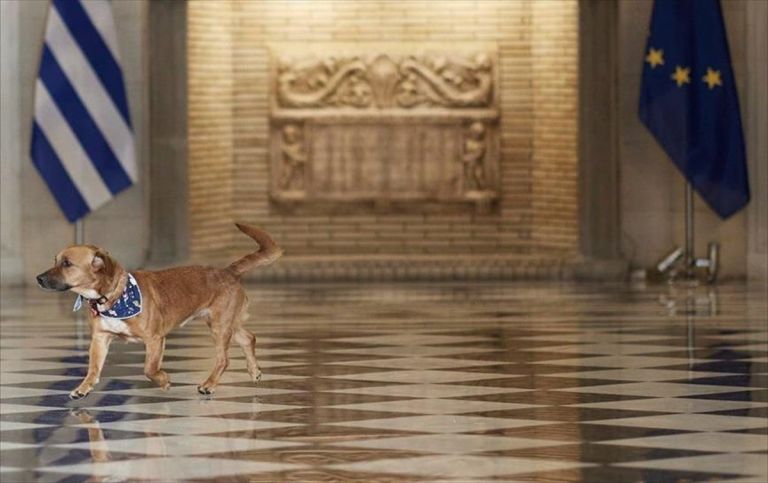 Ένα σπιτόσκυλο από κρατούμενους για τον Peanut