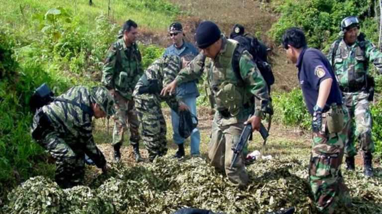 Περού: 14 νεκροί μετά από επίθεση σε περιοχή με καλλιέργειες κόκας