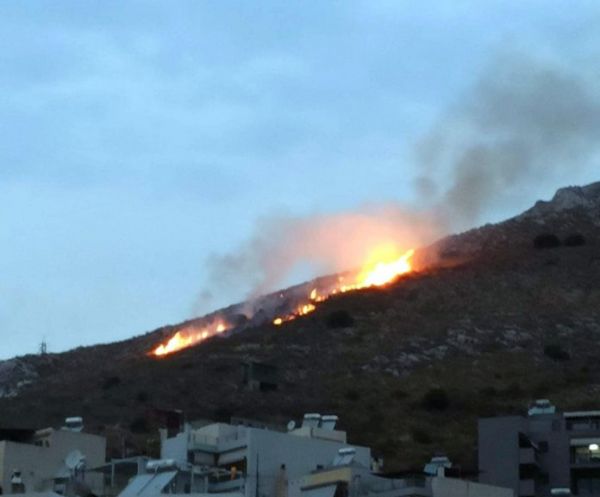 Συνέλαβαν νεαρό για τον εμπρησμό της δασικής έκτασης στη Νίκαια