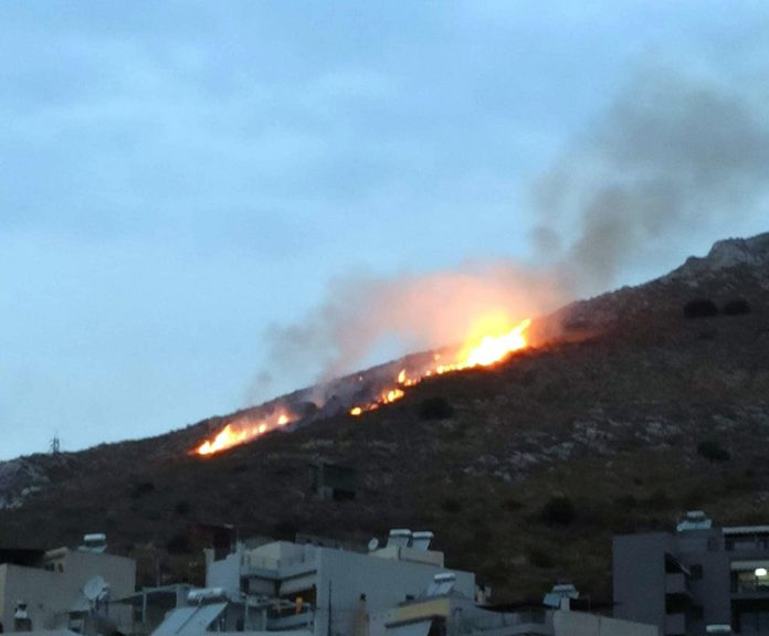 Συνέλαβαν νεαρό για τον εμπρησμό της δασικής έκτασης στη Νίκαια