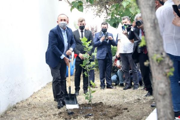 Πλατάνι στον τάφο του Αχμέτ Σαδίκ φύτεψε ο Τσαβούσογλου