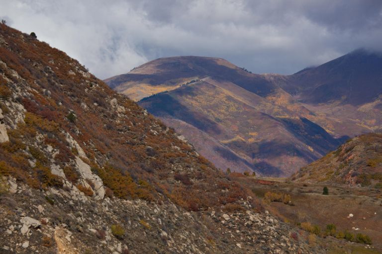 Αγνοούμενη από το 2020 βρέθηκε να ζει σε σκηνή-Τρεφόταν με βρύα και γρασίδι