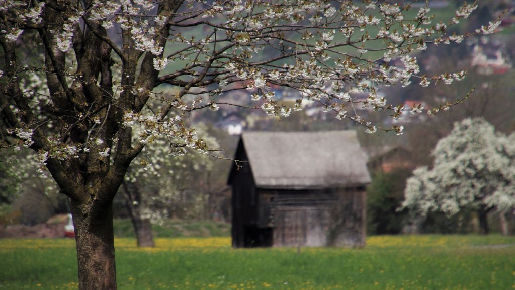 Σε συρρίκνωση οδηγούνται οι αγροτικές περιοχές