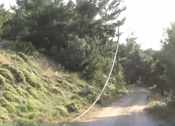 Κακοκαιρία «Μήδεια»: Ηλεκτροφόρα καλώδια μέσα σε θάμνους – Τα απομεινάρια της καταστροφής