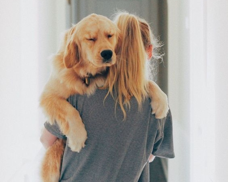 Τελικά πόσο αθώα είναι η αγκαλιά στα σκυλιά μας;