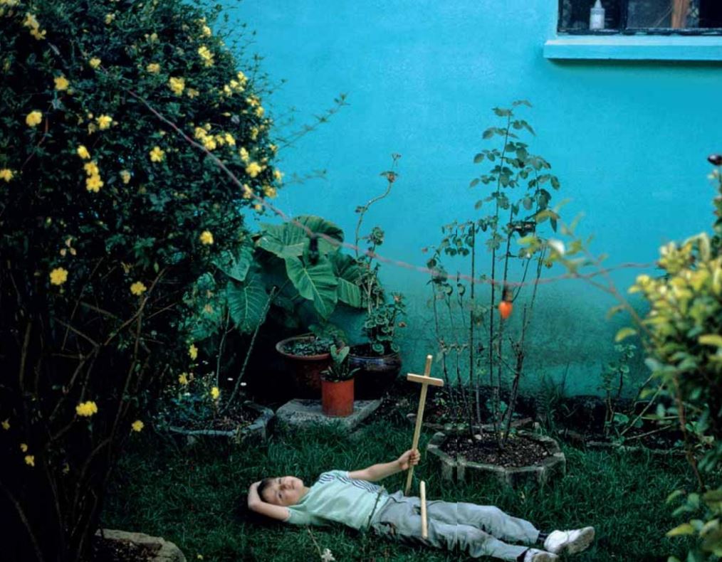 «Αγριολούλουδα» μέσα από το φωτογραφικό φακό του Joel Meyerowitz