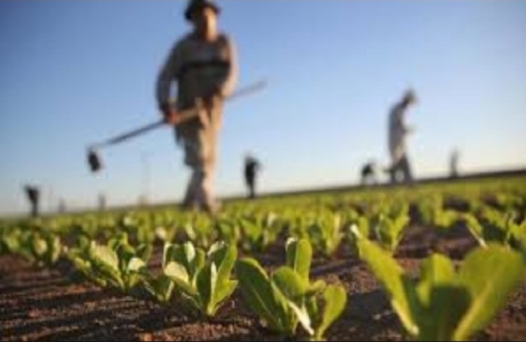 ΥπΑΑΤ: Η ΚΑΠ μοχλός εισδοχής νέων ανθρώπων στη γεωργία