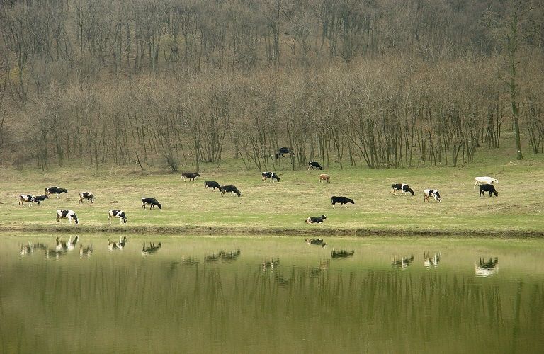 Νέο Διοικητικό Συμβούλιο στο ΣΕΚ