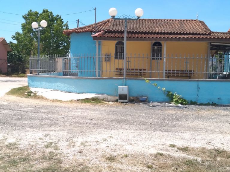 Δήλωση του Δημάρχου Άργους-Μυκηνών για την δηλητηρίαση ζώων στο Τημένιο