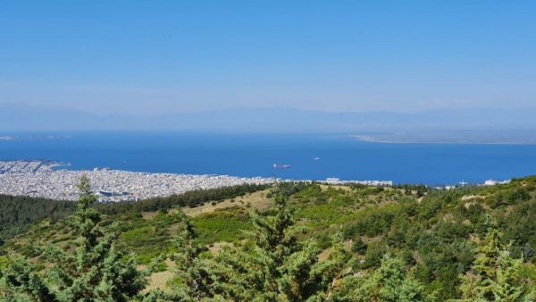 Ανησυχούν βαθιά, αλλά ….