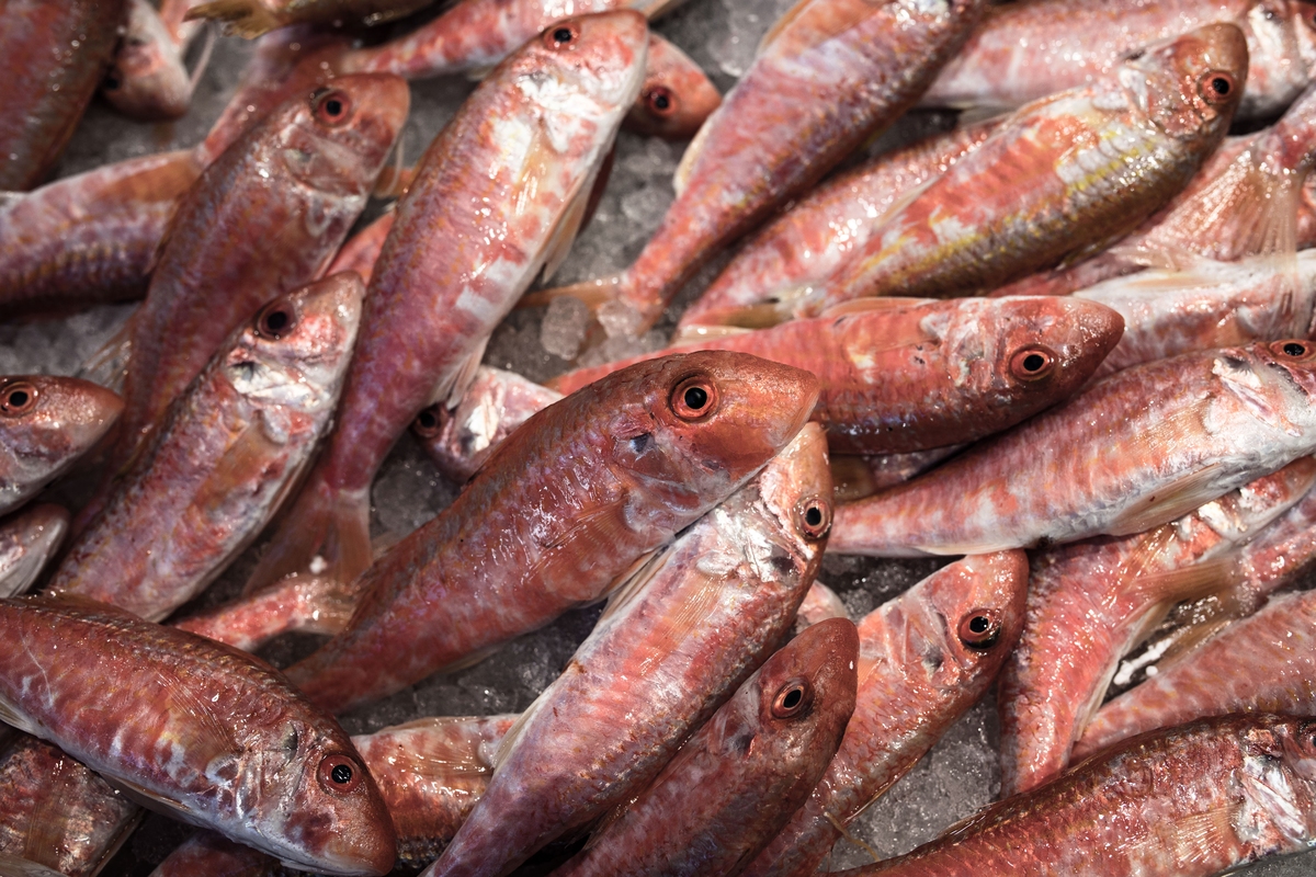 Ηγουμενίτσα: Πάνω από 7 εκατ. λαθραία τσιγάρα σε... κατεψυγμένα ψάρια