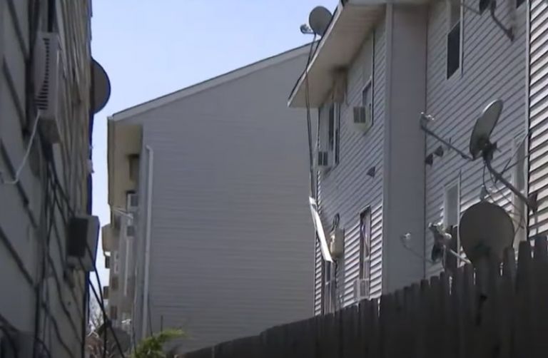 ΗΠΑ: Φρικτός θάνατος για τρίχρονο – Έπεσε από το παράθυρο και του επιτέθηκαν σκυλιά