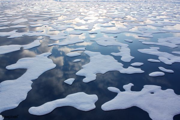 Κλιματική αλλαγή: Η τελευταία γενιά που βλέπει καλοκαιρινό πάγο στην Αρκτική