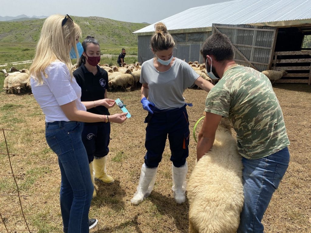 Κτηνοτροφία: Η παραγωγική σύνδεση της επιστήμης με την παράδοση