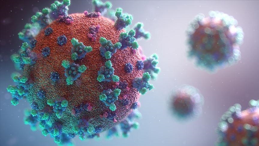 National Public Health Organisation confirms first case of SARS-CoV-2 'Brazilian