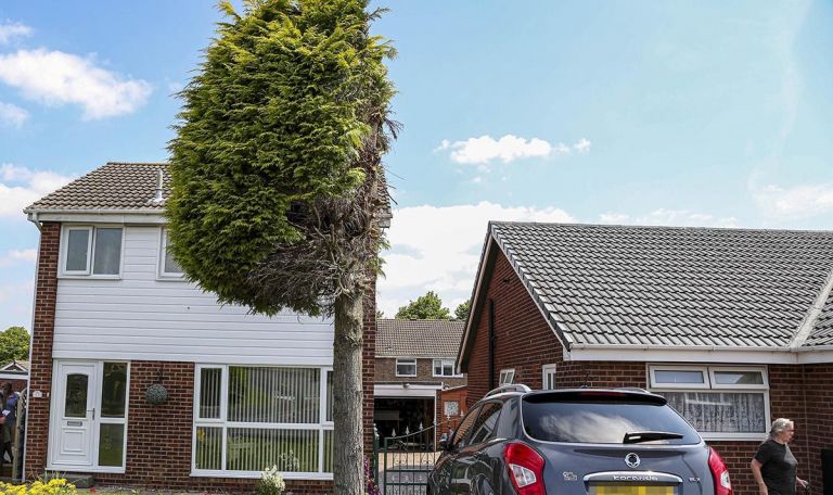 Απίστευτο: Η κόντρα δυο γειτόνων κατέληξε με ένα δέντρο… κομμένο στη μέση