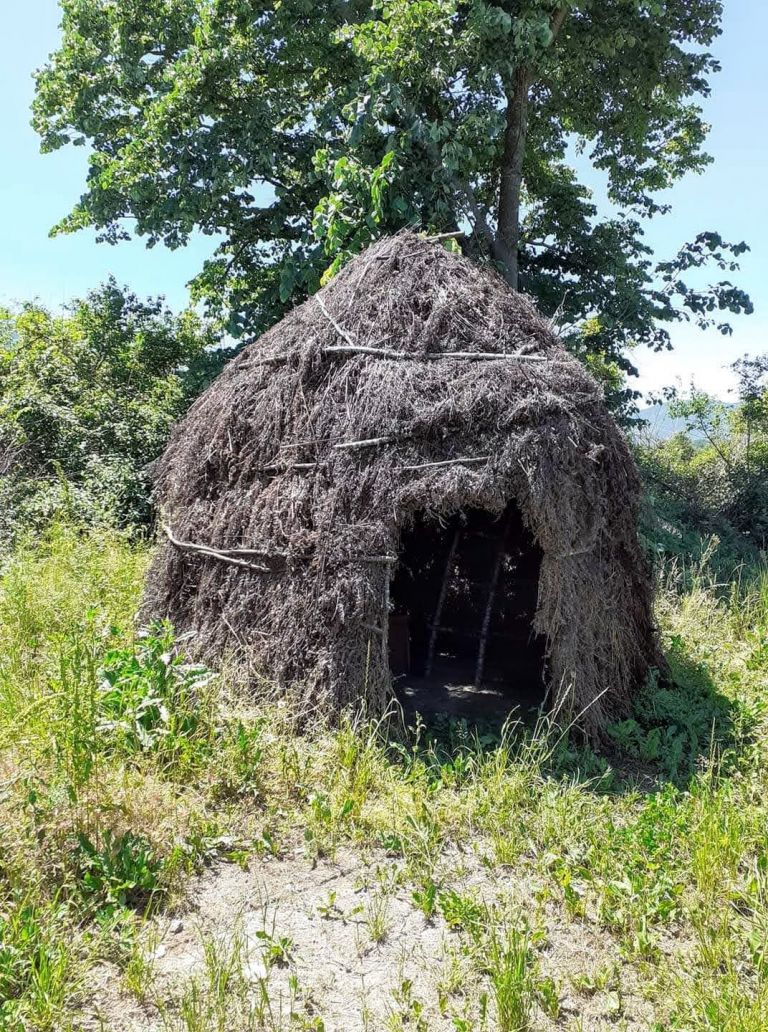 Οικολογία και τοπική γνώση