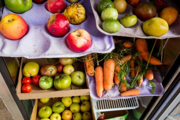 Κίνημα Freedge: καταπολεμώντας την επισιτιστική ανασφάλεια με αλληλεγγύη