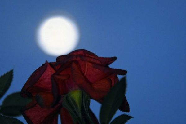 Υπερπανσέληνος: Το βράδυ της Πέμπτης η τρίτη και τελευταία του 2021