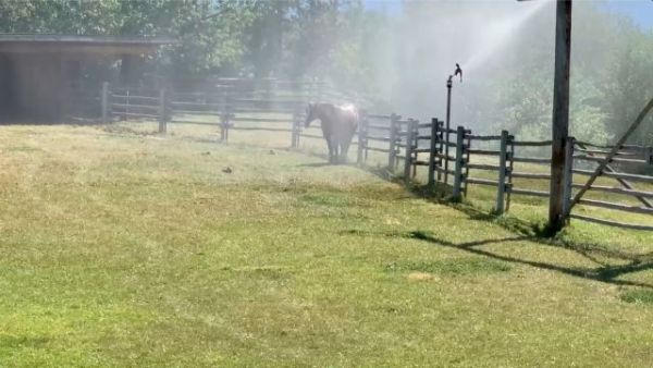 Παγκόσμιος Οργανισμός Μετωρολογίας: Δεν υπάρχουν λόγια για τους 49,5 βαθμούς Κελσίου στον Καναδά