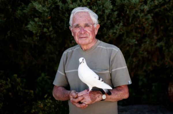 «Σεβόμαστε ο ένας τον άλλο»: Η μαγική σχέση ανάμεσα σε έναν 80χρονο και το περιστέρι του