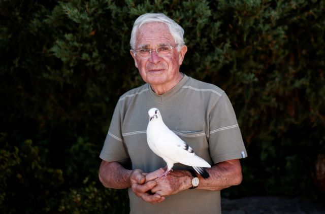 «Σεβόμαστε ο ένας τον άλλο»: Η μαγική σχέση ανάμεσα σε έναν 80χρονο και το περιστέρι του