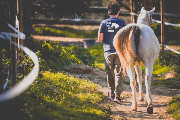 ΕΣΠΙ: Το in.gr επισκέφθηκε τον Σύλλογο που φροντίζει κακοποιημένα ιπποειδή από όλη την Ελλάδα