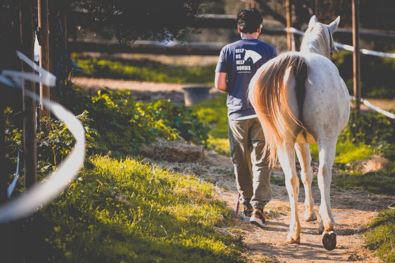 ΕΣΠΙ: Το in.gr επισκέφθηκε τον Σύλλογο που φροντίζει κακοποιημένα ιπποειδή από όλη την Ελλάδα