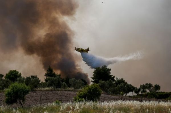 Φωτιά σε δύσβατο δάσος στη Βόρεια Εύβοια