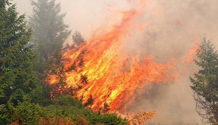 Συναγερμός στην Πυροσβεστική: Φωτιά στη Ροδόπη
