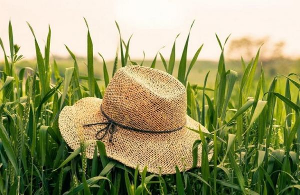 Η συμβολή των agrologistics στην αγροδιατροφική παραγωγή