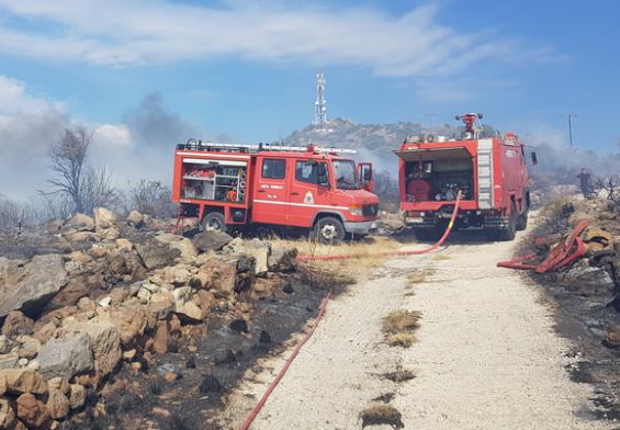 Πυρκαγιά στην Αίγινα – Ισχυρές δυνάμεις της Πυροσβεστικής στο σημείο