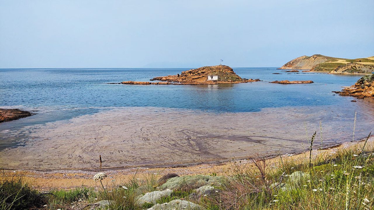 Σχέδιο δράσης για την αντιμετώπιση του φαινομένου βλέννας στη Λήμνο