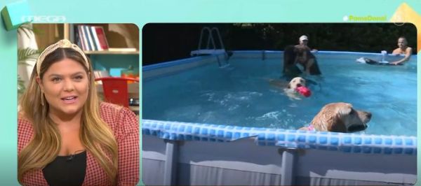 Πώς να περάσουν αξέχαστα τα σκυλάκια σας