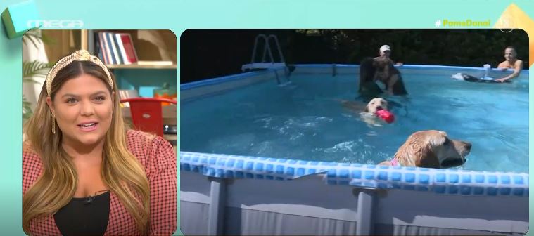 Πώς να περάσουν αξέχαστα τα σκυλάκια σας