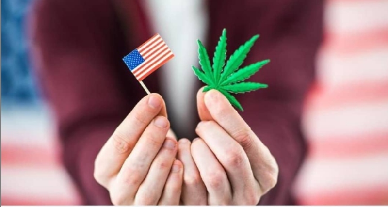 ΗΠΑ: Η πανδημία «εκτοξεύει» τις πωλήσεις κάνναβης