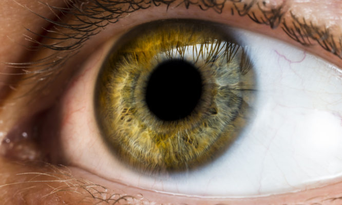 Πιο ευφυείς όσοι έχουν… αυτό στα μάτια τους