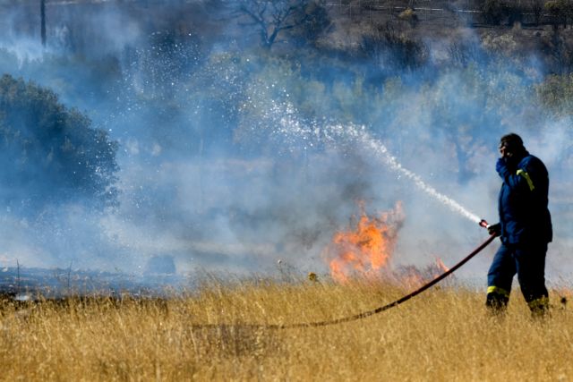 Τέμπη: Φωτιά σε χορτολιβαδική έκταση - Ισχυρές δυνάμεις της Πυροσβεστικής στο σημείο