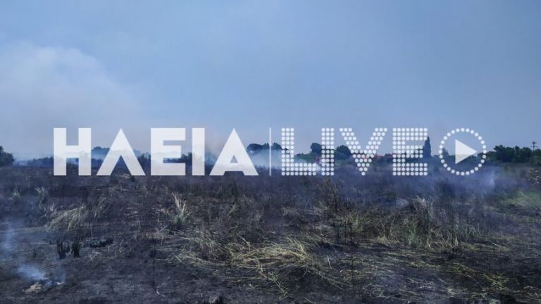 Ηλεία: Πυρκαγιά σε δασική έκταση κοντά στην Κυανή Ακτή