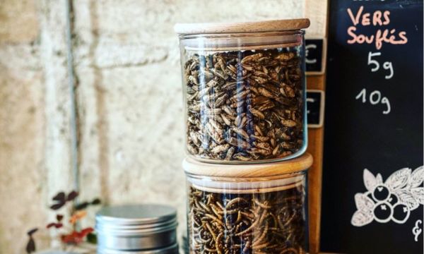 Η γαλλική κουζίνα όπως δεν την έχουμε ξαναδεί: Σκουλήκια, ακρίδες και γρύλοι