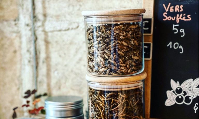 Η γαλλική κουζίνα όπως δεν την έχουμε ξαναδεί: Σκουλήκια, ακρίδες και γρύλοι