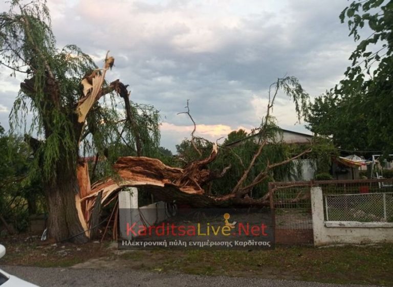 Καρδίτσα: Τεράστιες καταστροφές από μεγάλης έντασης μπουρίνι και χαλαζόπτωση