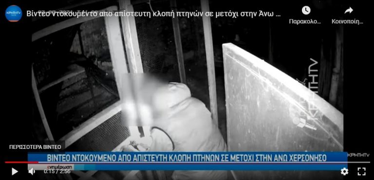 Κάμερες στο… μετόχι: Εκλεβε επί 1 ώρα και 10 λεπτά κότες, χήνες, μανδαρίνους, πέρδικες, παγόνια και φασιανούς