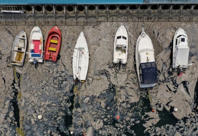 Τουρκία: Απίστευτες εικόνες από τη βλέννα στη Θάλασσα του Μαρμαρά
